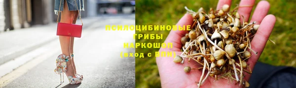 кокс Абдулино