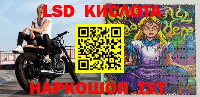 мяу мяу мука Свободный