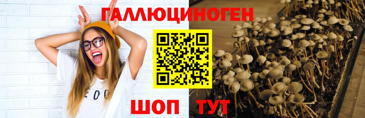 Новоуральск  Псилоцибиновые грибы Magic Shrooms  Вход с VPN 