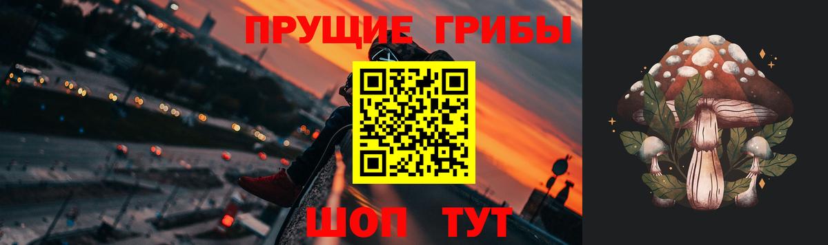 Галлюциногенные грибы Psilocybe Новоуральск